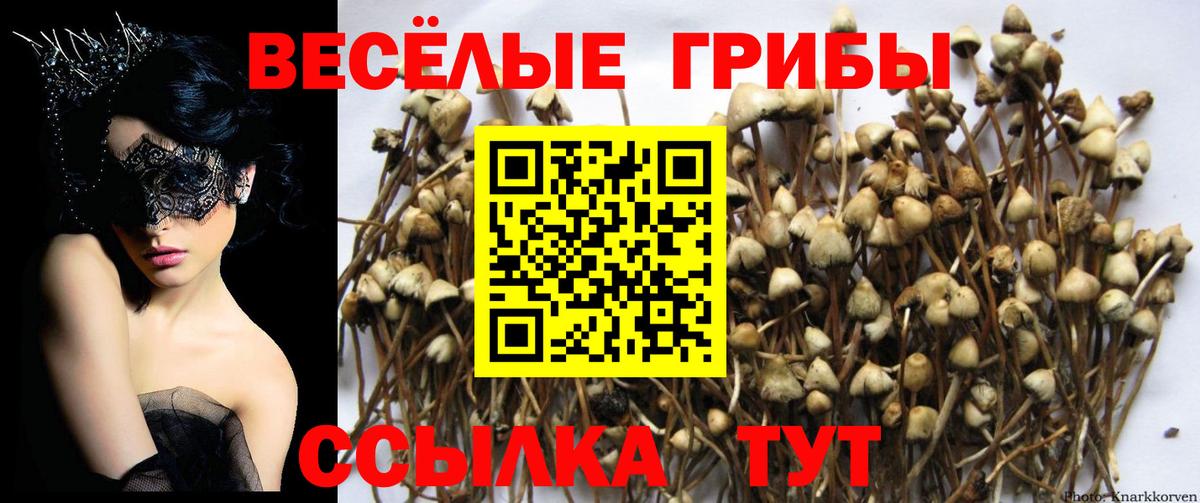 Галлюциногенные грибы мицелий Екатеринбург